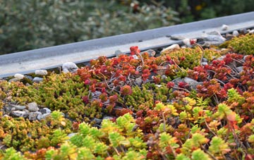the cost of Eglish green roof installation